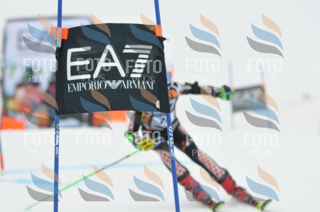 DSC_7868 | holidayphoto