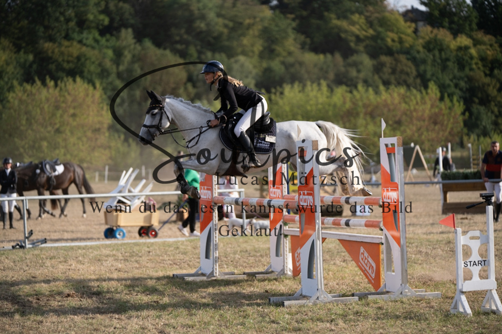 A7V09832 | Pferdefotograf