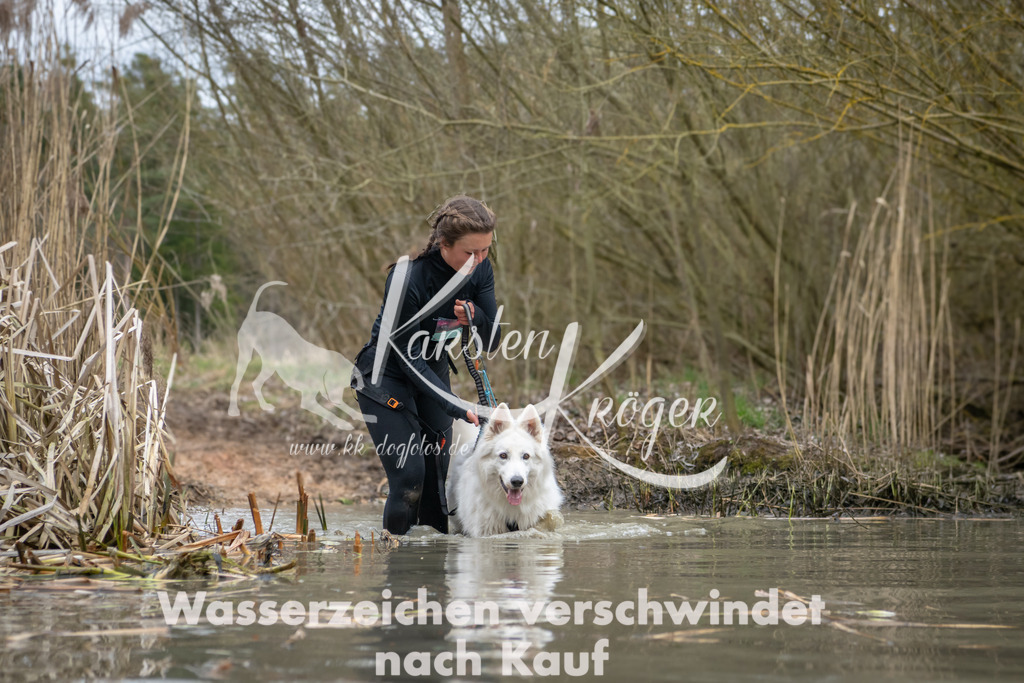 1441_ZZ90293 | kk-dogfotos