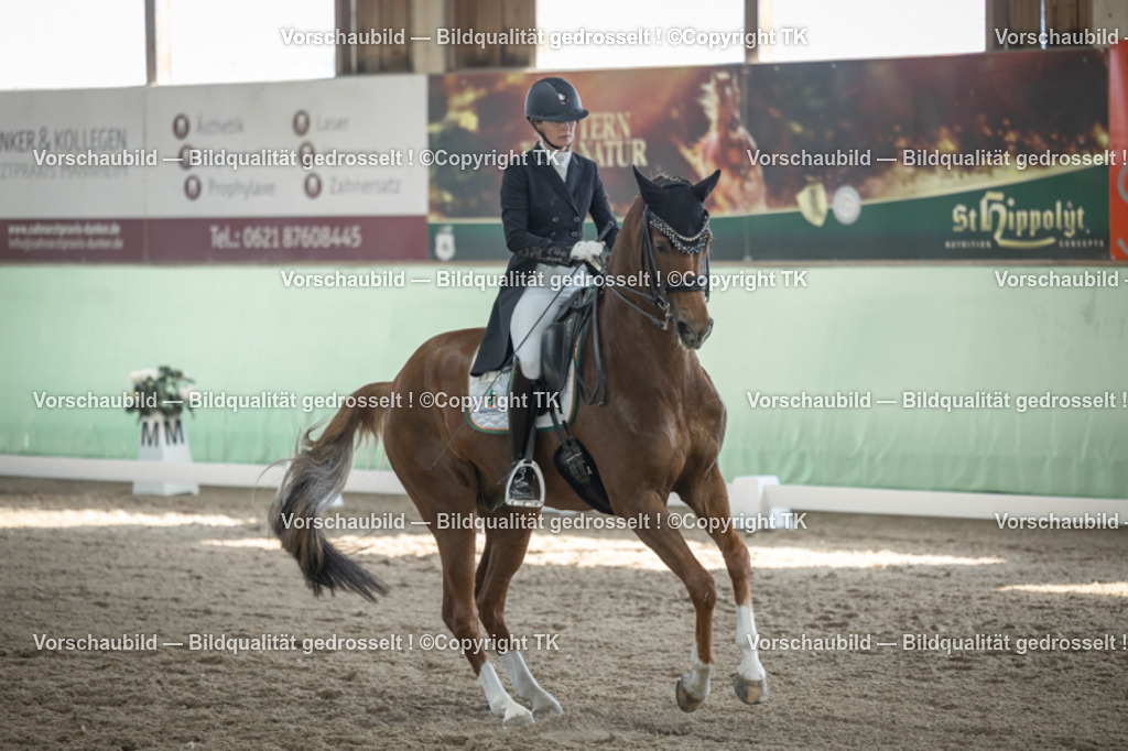 _D5A0086 | Emotionale Pferde- & People-Fotografie rund um Heidelberg, Leimen & Umgebung. Natürliche Fotos von Pferd, Mensch & Familie. Jetzt Termin sichern!