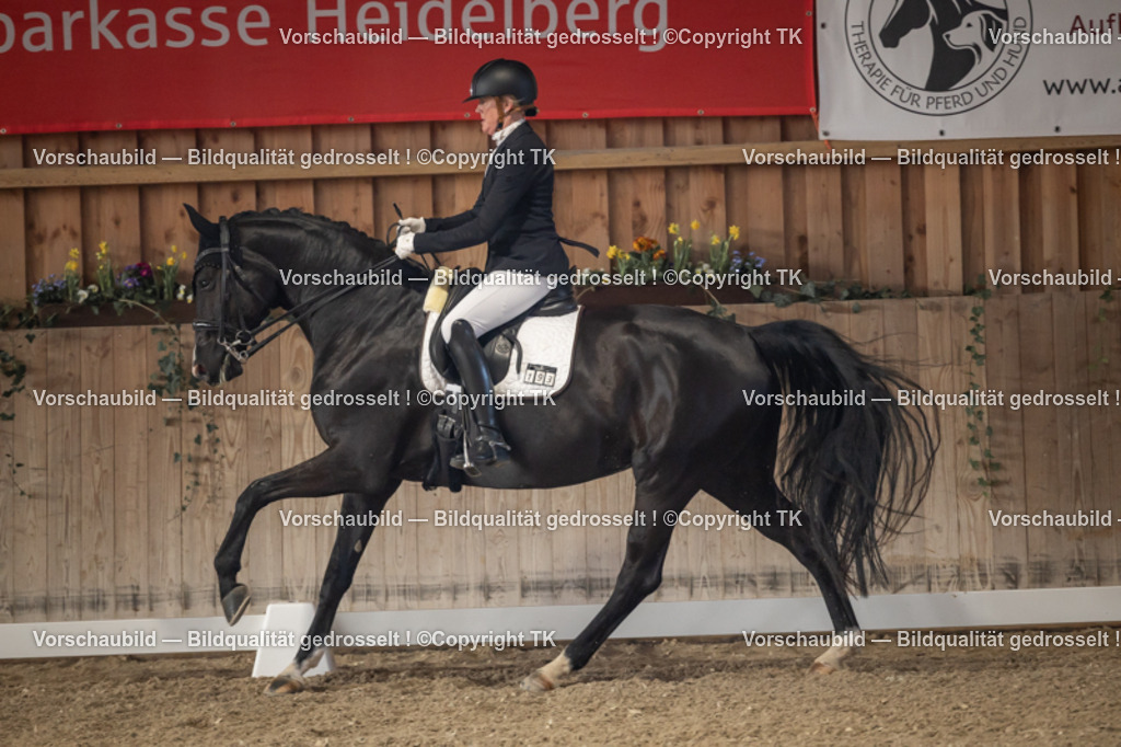 _D5A2701 | Emotionale Pferde- & People-Fotografie rund um Heidelberg, Leimen & Umgebung. Natürliche Fotos von Pferd, Mensch & Familie. Jetzt Termin sichern!