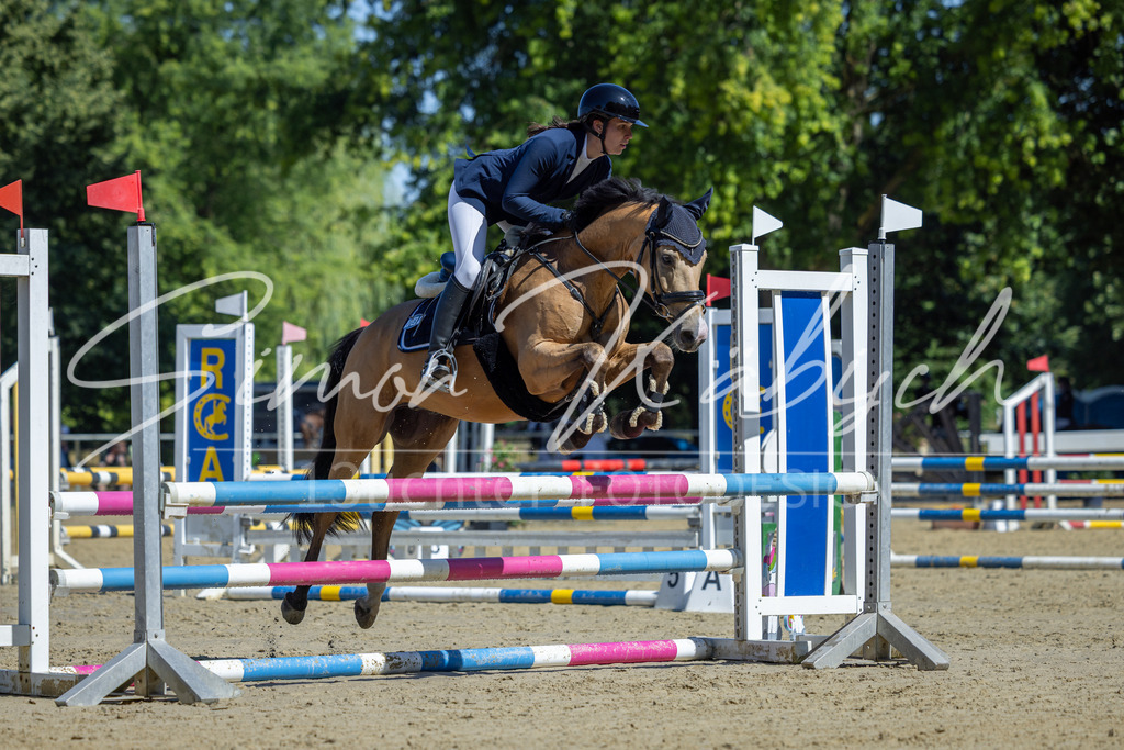 20260704-_3LI7460 | Tierfotografie Pferde, Hunde, Katzen, Haustiere.
Turnierfotografie Reitturniere, Reiten, Springreiten, Dressur in Hanau, dem Main-Kinzig-Kreis und dem Rhein-Main- Gebiet um Frankfurt