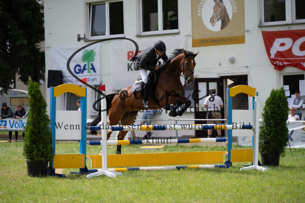 A7V04141 | Pferdefotograf