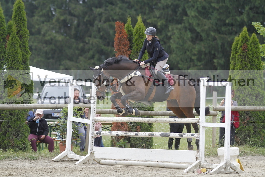 _MG_0377 | equestrian-live-com