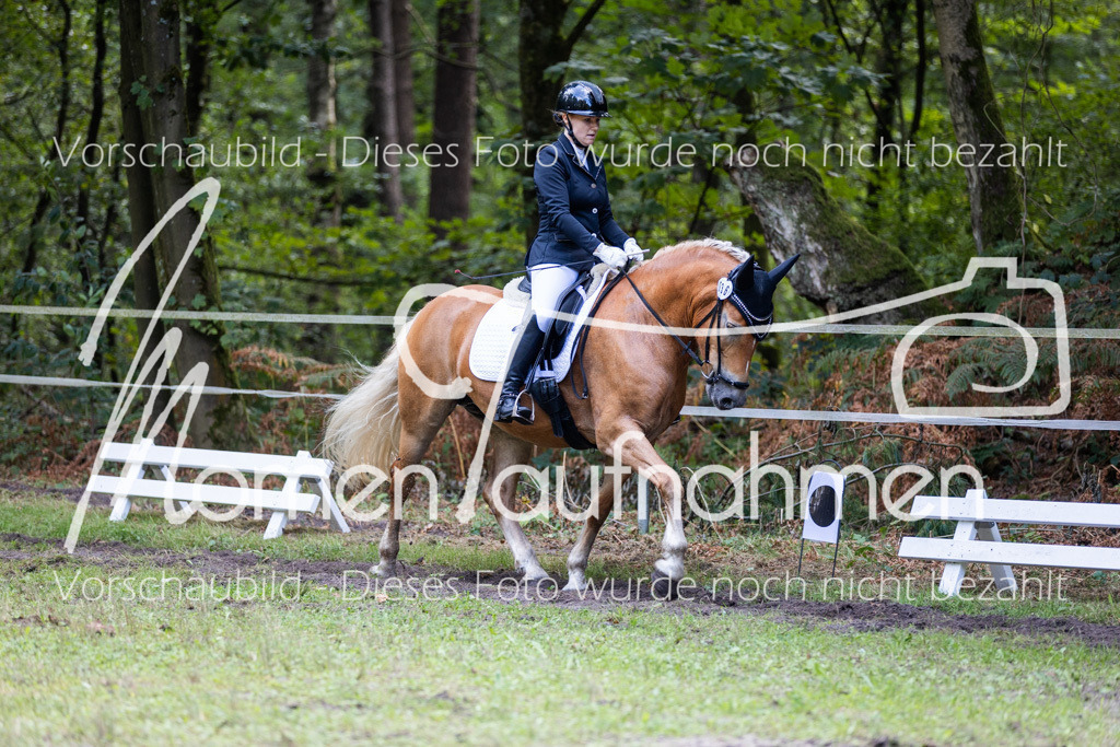 HB-Dressur-WB-058 | MomenTaufnahmen Pferdesportfotos