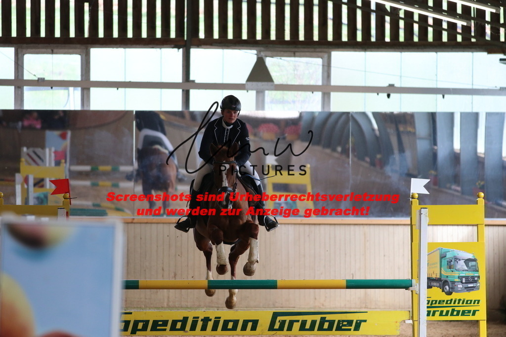 IMG_5884 | lmwpictures - Realisiert mit Pictrs.com