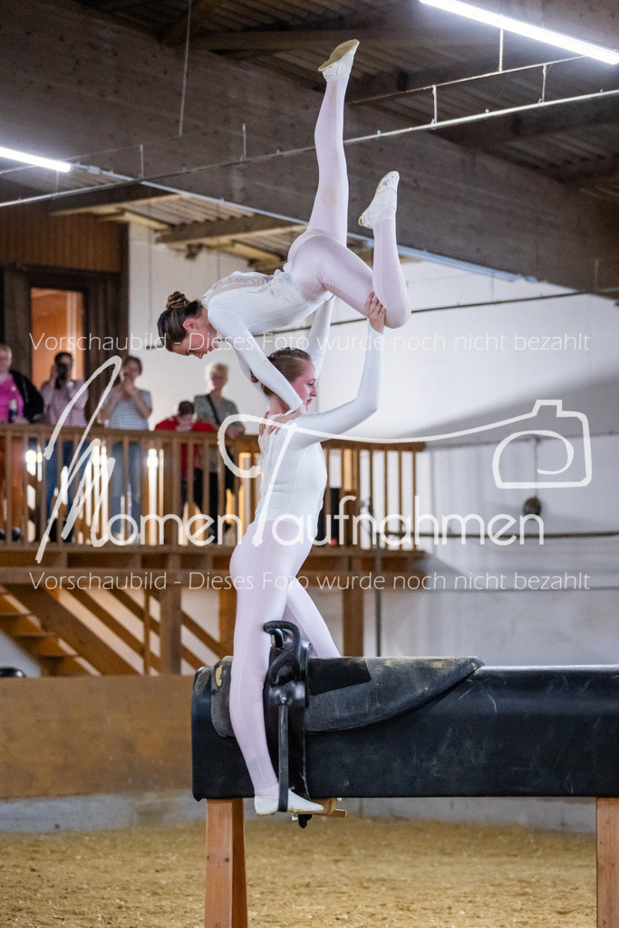 Holzpferd-117 | MomenTaufnahmen Pferdesportfotos