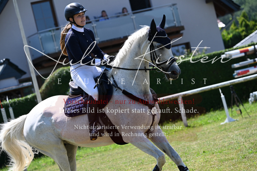 DSC_0572 | Pferde- und Turnierfotografie in Westsachsen. Pferdeportraits, Auftragszeichnungen und intuitive Kunst.