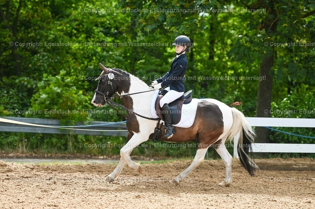 20230716_10-2_Reiter-WB Schritt - Trab - Galopp_0175 | equistock