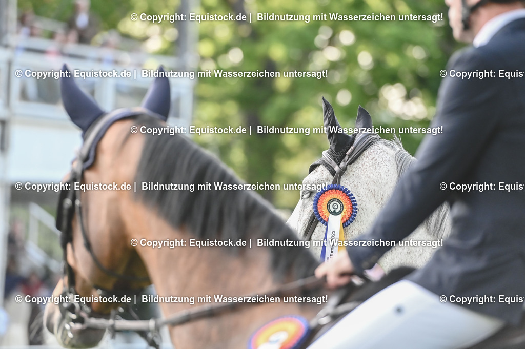 20230526_Impressionen_0245 | equistock