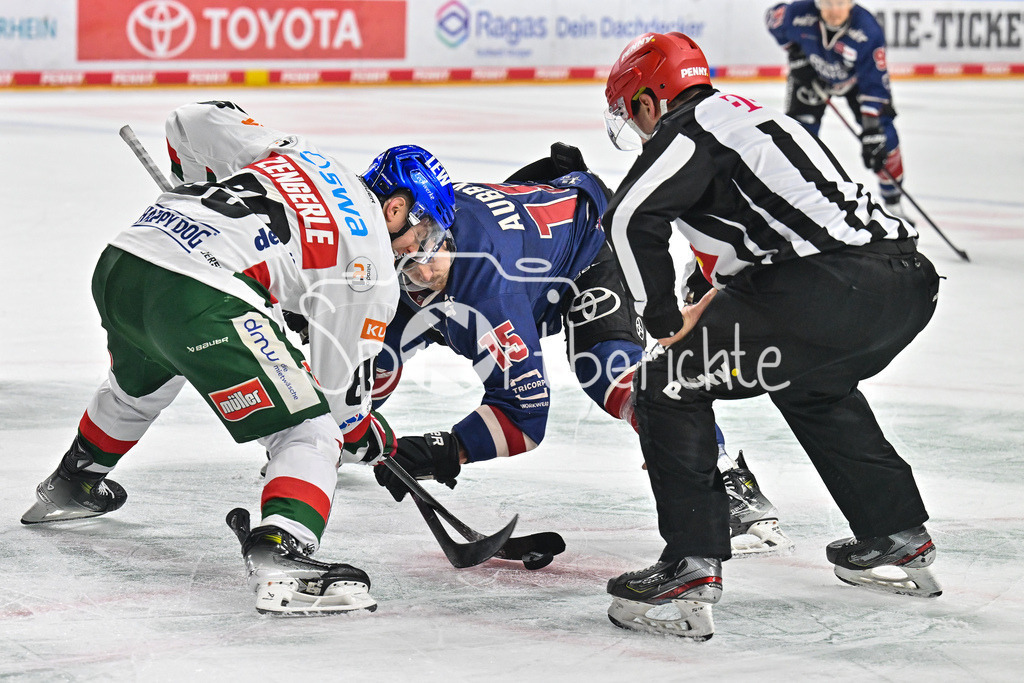 Kölner Haie - Augsburger Panther | beim Bully Mark ZENGERLE (Augsburger Panther #89) und Louis-Marc AUBRY (Koelner Haie #15) / DEL: Koelner Haie - Augsburger Panther, Lanxess Arena am 05.01.2025