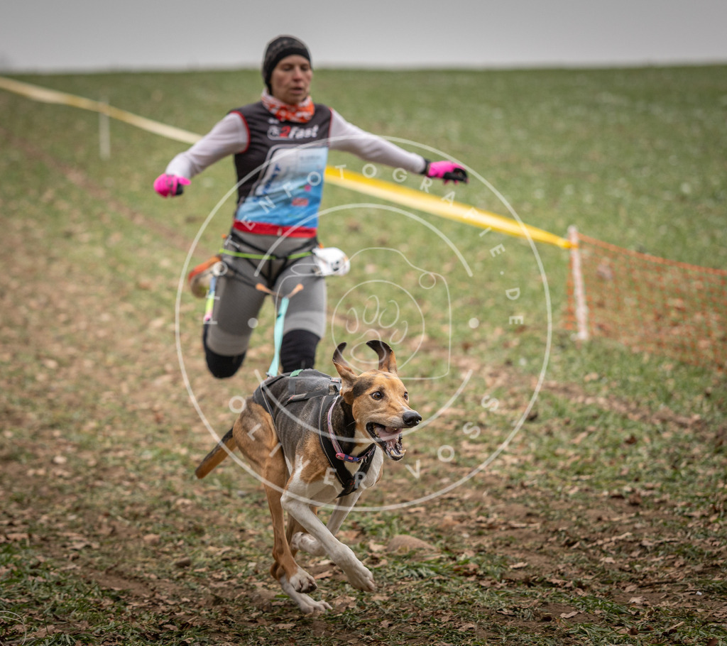 Pfotenfotografie_DV3A4945 | Hundefotografie, Tierfotograf, Pfotenfotografie, Fotoshooting Hund, Hunde Portrait, Hundesport, Hundeportraits, Heideshooting, Hunde, Sportfotograf, Hundefotograf, Turnierhundsport, THS,  - Realisiert mit Pictrs.com