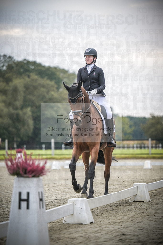 DOS_0541 | Entdecke hochwertige Reitturnierfotos von Foto Oger. Professionell, emotional und authentisch – jetzt Lieblingsmomente im Shop bestellen. - Realisiert mit Pictrs.com