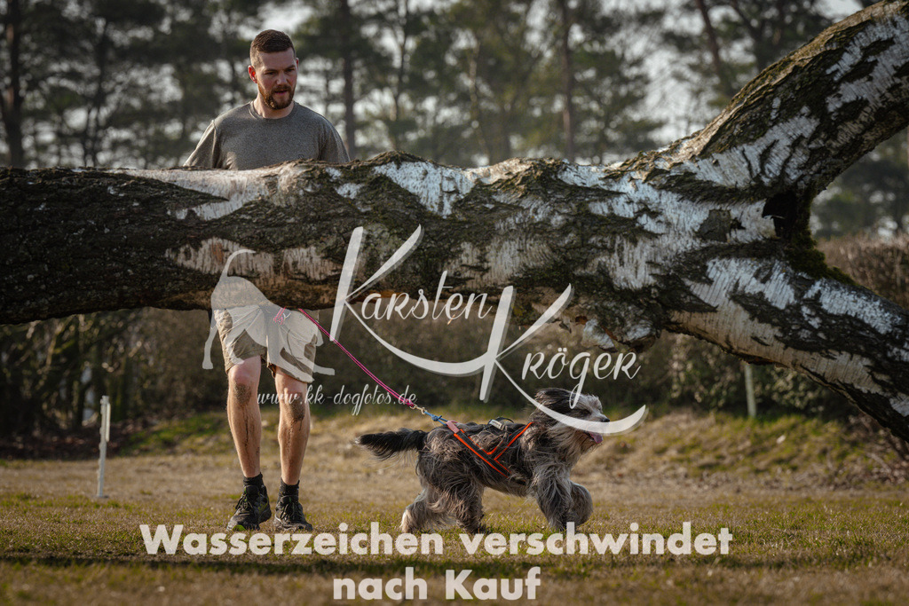 0944_ZZ99900 | kk-dogfotos
