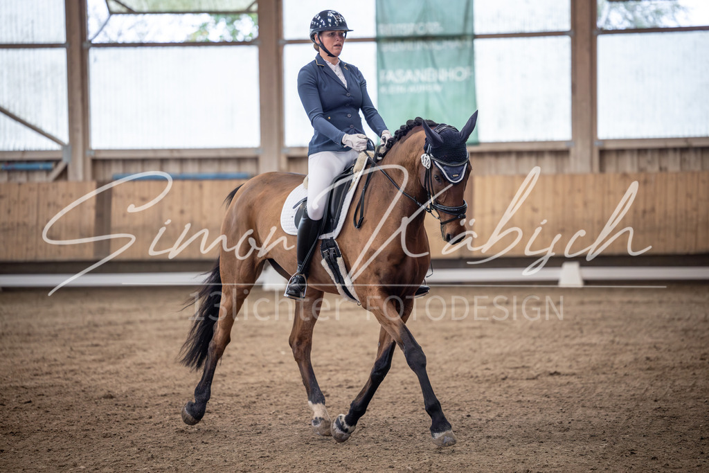 20251011-_3LI9820 | Tierfotografie Pferde, Hunde, Katzen, Haustiere.
Turnierfotografie Reitturniere, Reiten, Springreiten, Dressur in Hanau, dem Main-Kinzig-Kreis und dem Rhein-Main- Gebiet um Frankfurt