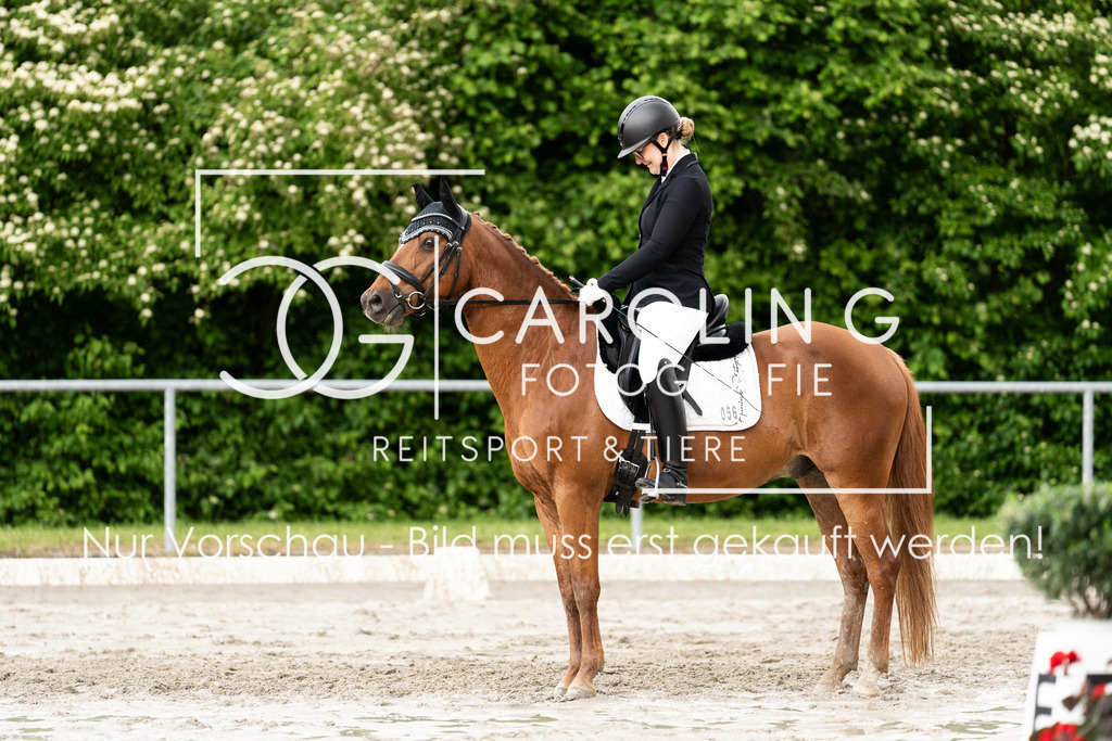 DSC07487 | Carolin Gieschke