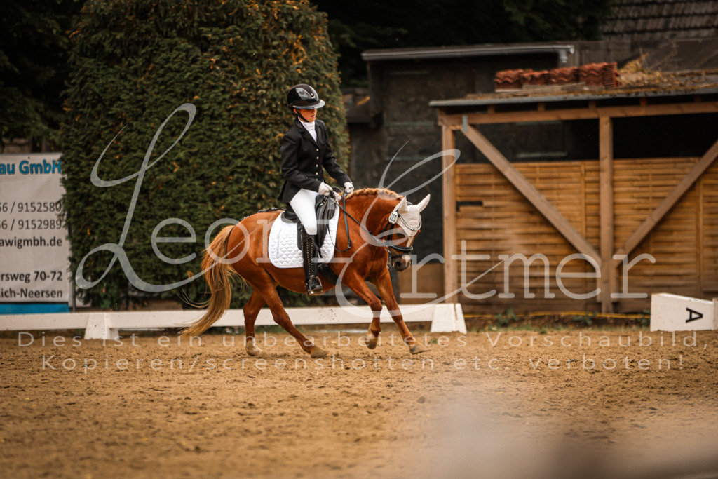 DoDrE00481 | Leoni Ertmer Photography - Realisiert mit Pictrs.com