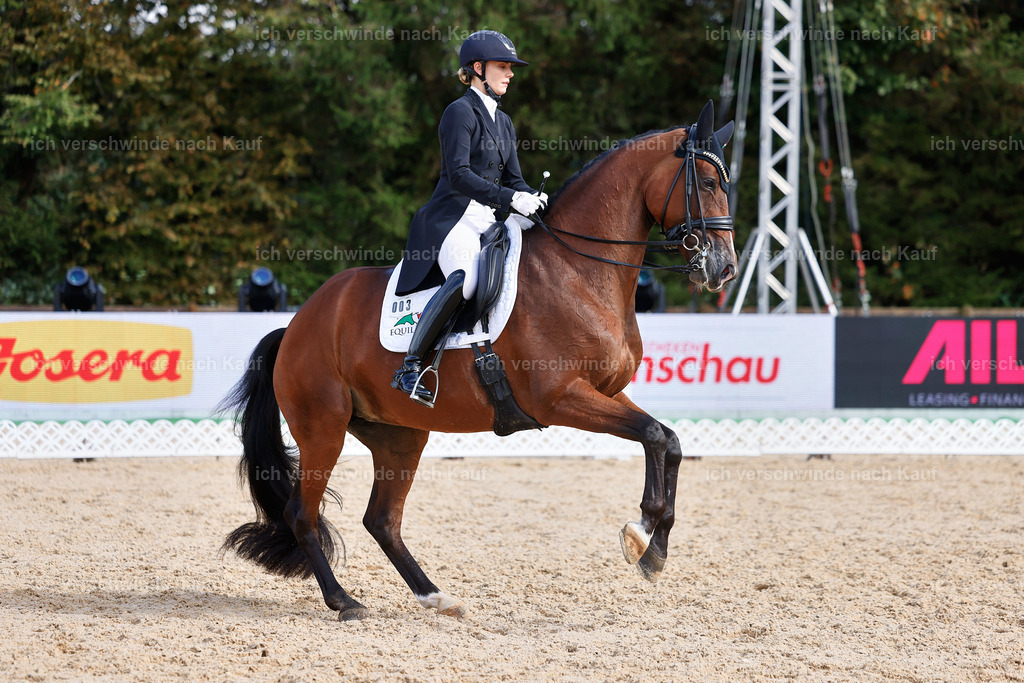 07-003-DRESSUR  S___  -StoibPH-5075 | working equitationturnier fotograf videograf stoibphotography marixx film working equitation deutschland reitsport turnierfotografie eventfotografie equestrian events