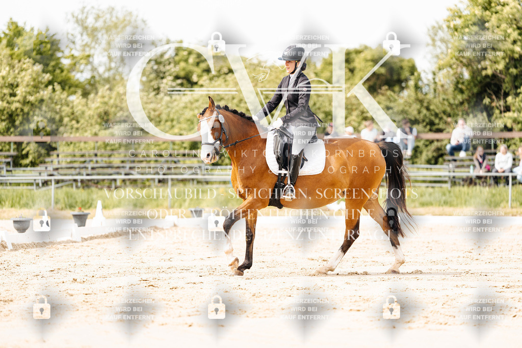 CK901256 | Turnierfotografie Pferdefotografie Trier Rheinland-Pfalz Pferdesport Reitsport Tierfotografie Sportfotografie Pferdevideo Pferdevideografie Equestrianvideography equestrianphotography  - Realisiert mit Pictrs.com