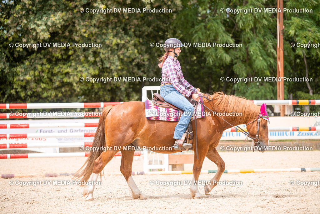 EWP_6572 | dv-media-shop - Realisiert mit Pictrs.com