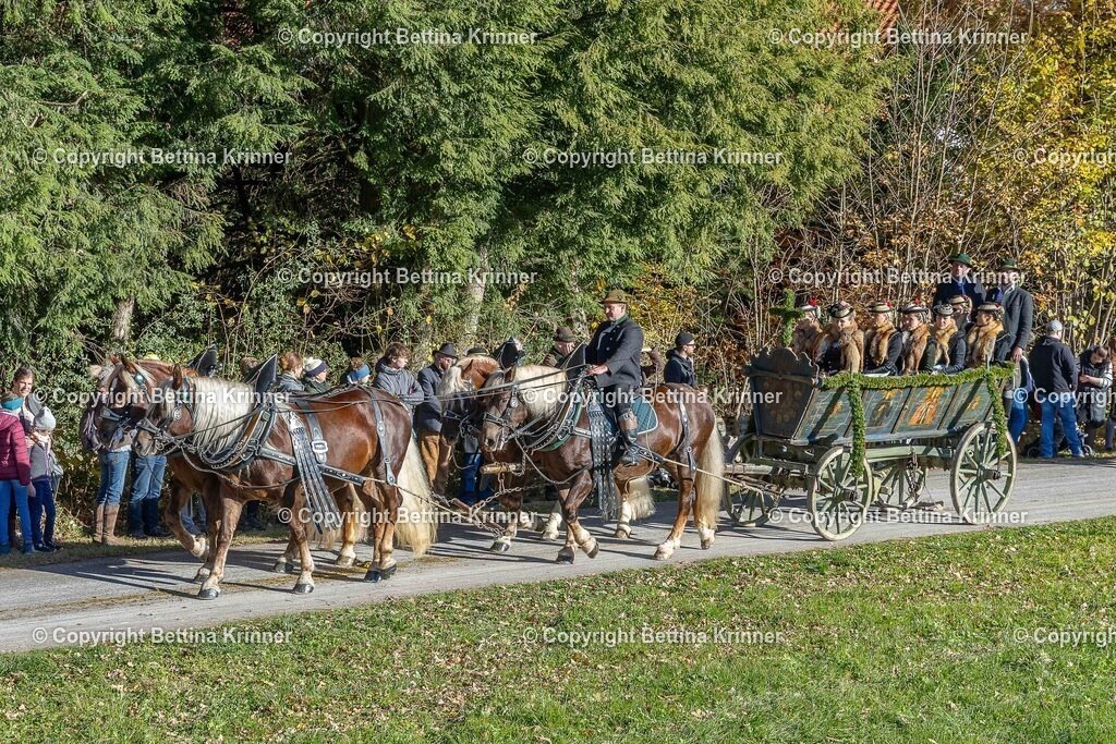 LBT25-562 | foto-bettina-krinner - Realisiert mit Pictrs.com