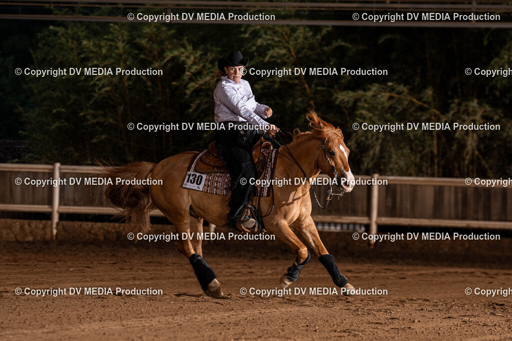 Erbach Tag 1-1256 | dv-media-shop - Realisiert mit Pictrs.com