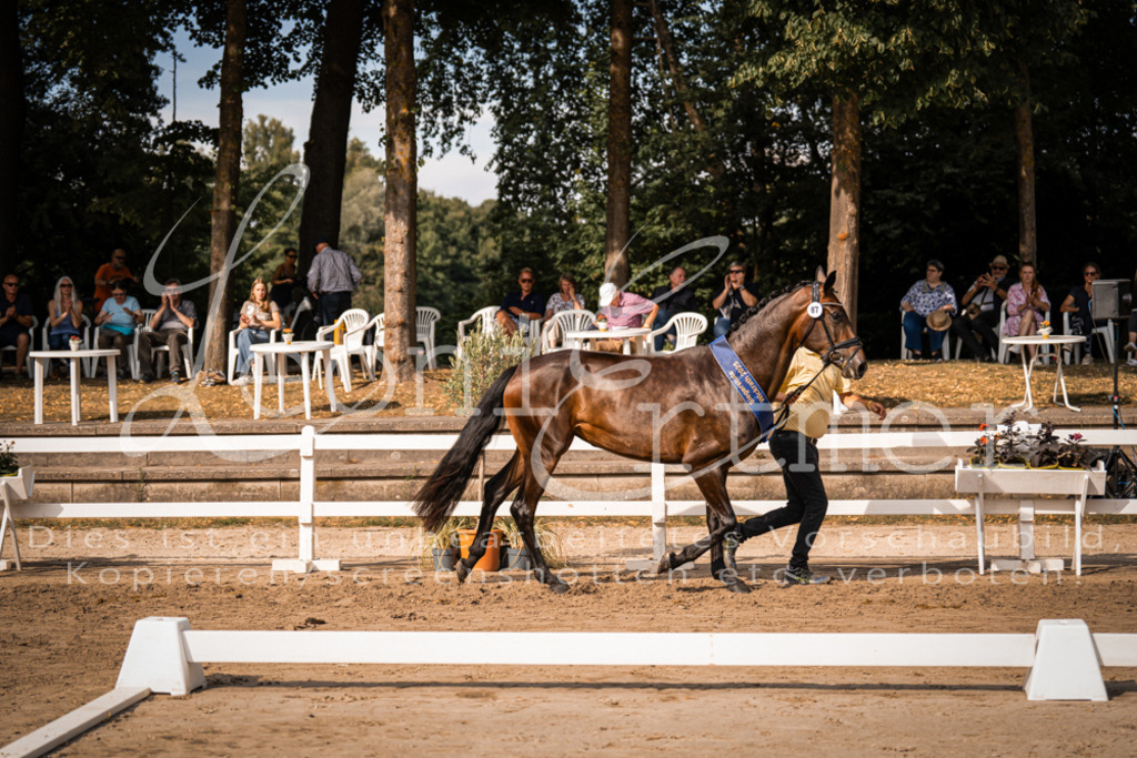 FrER00214 | Leoni Ertmer Photography - Realisiert mit Pictrs.com