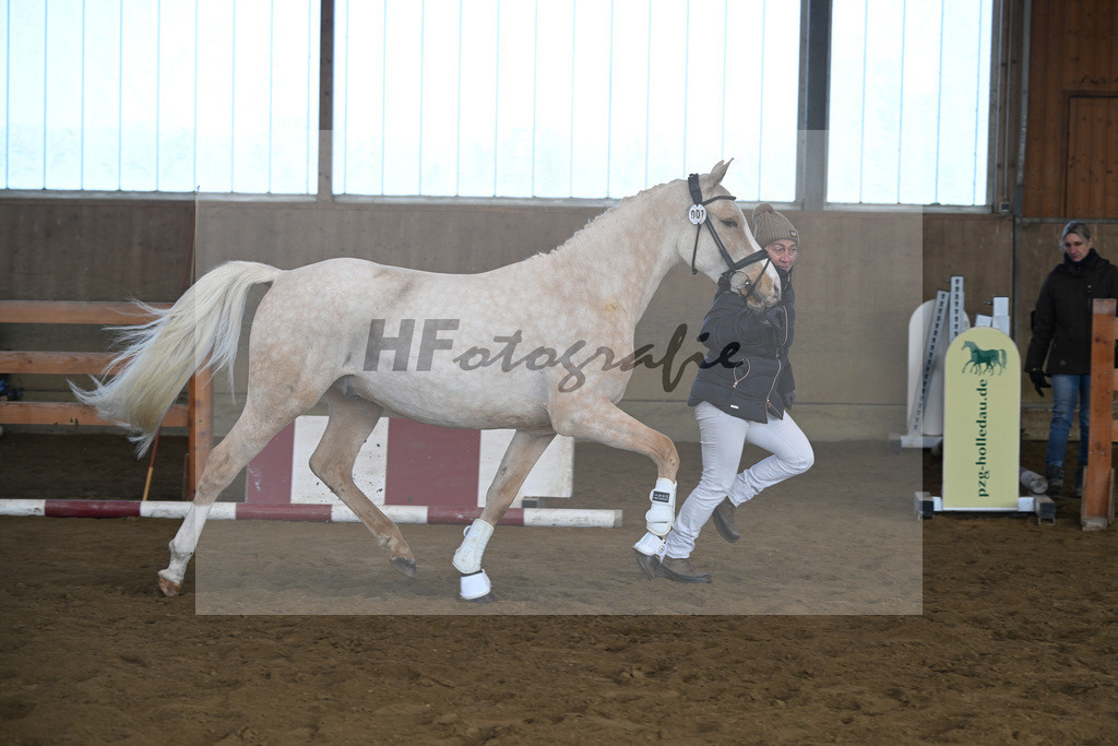 Kat-Nr. 7 Golden Jackpot v. Global Champion_Dirian_49250186 | hf-fotografie - Realisiert mit Pictrs.com