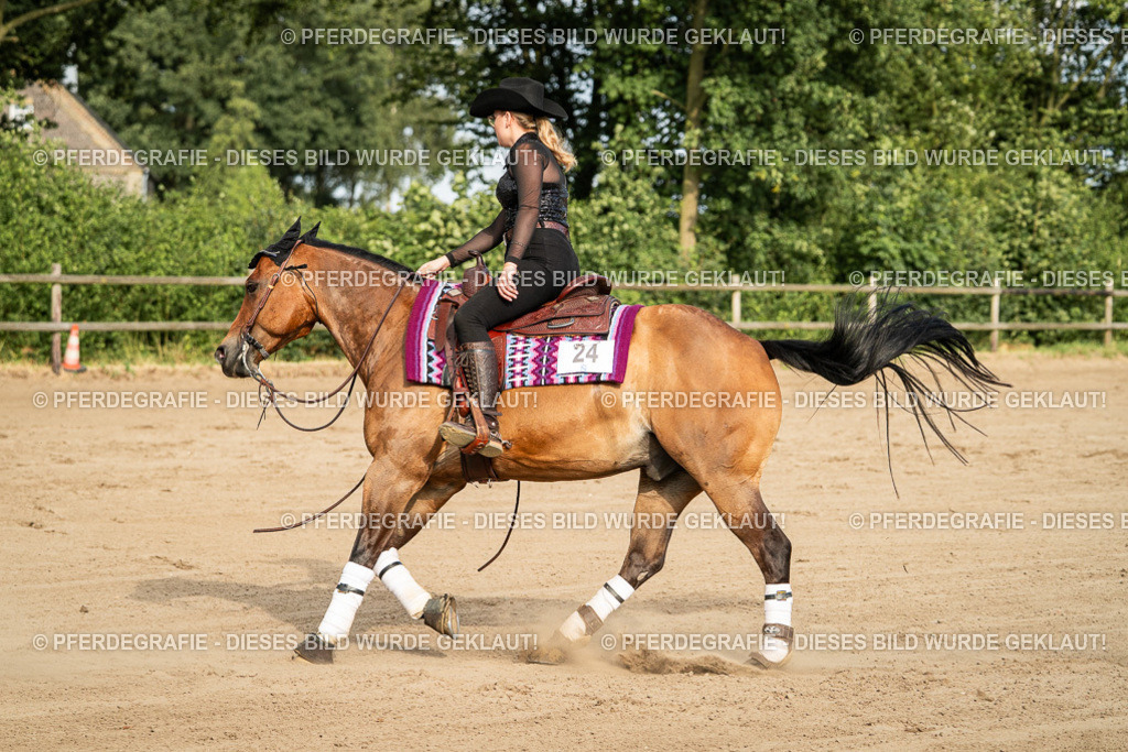 DSC05376 | Pferdegrafie