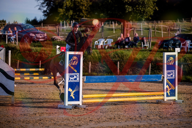 2026_10_03_Siefer-Hof_171049_Z81_07737912 | Professionelle Reitsport-, Turnier- und Eventfotografie von Robert Broda. Galerien mit ausgewählten und bearbeiteten Bildern direkt online ansehen und bestellen.