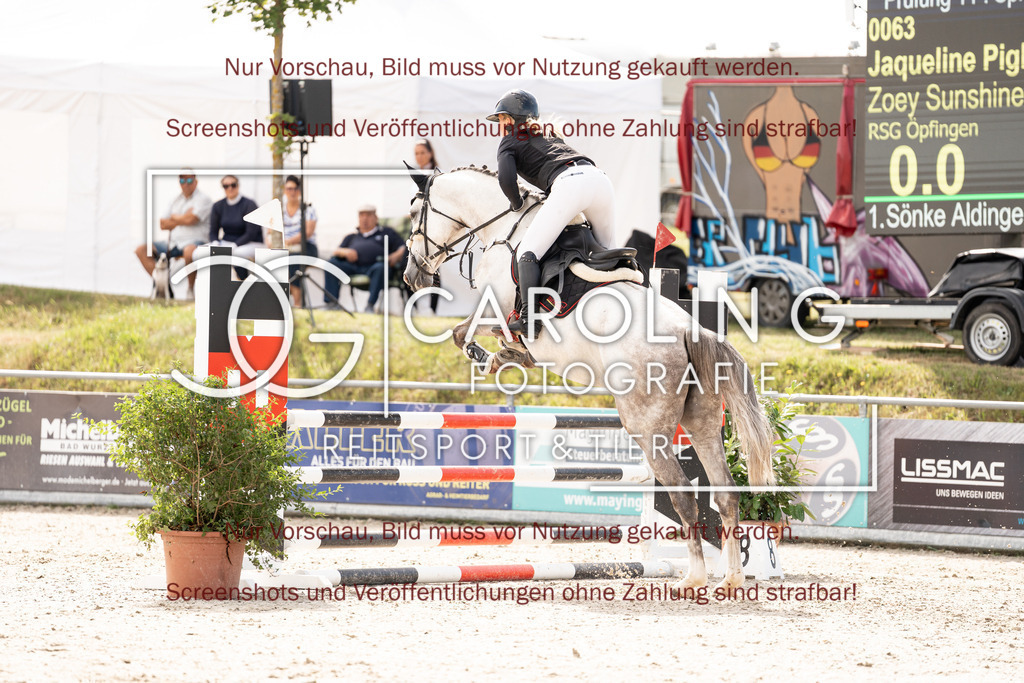 DSC02490 | Turnierfotografin Carolin Gieschke, Turnierfotografie Carolin G Fotografie, Turnierfotos Kirchheim/Teck, Esslingen, Stuttgart, Bodenseekreis