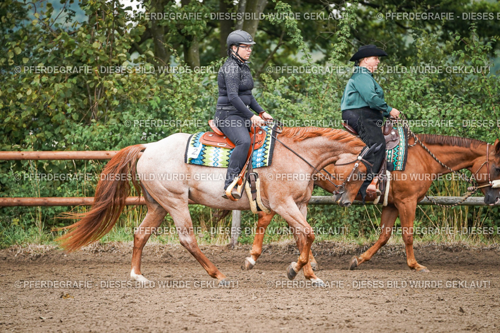 DSC01786 | Pferdegrafie