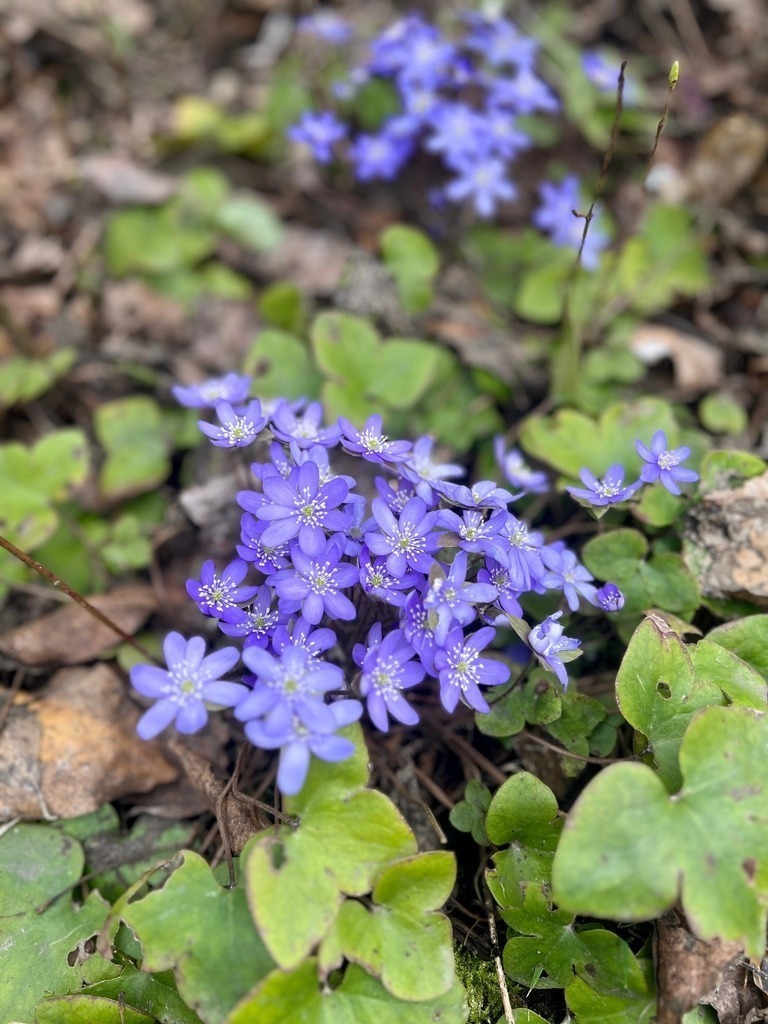 IMG_0262 | ace - Realisiert mit Pictrs.com