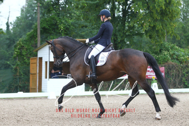 DKP40008 | Turniersportfotografie; Pferdefotografie; Dressurfotografie