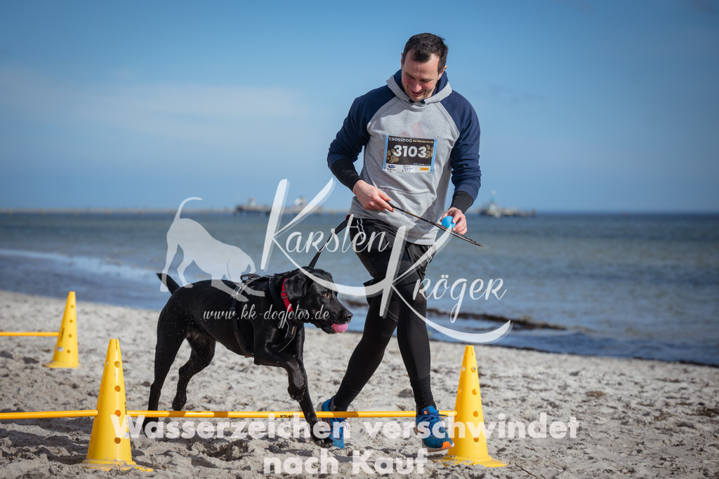 1322_ZZ91431 | kk-dogfotos