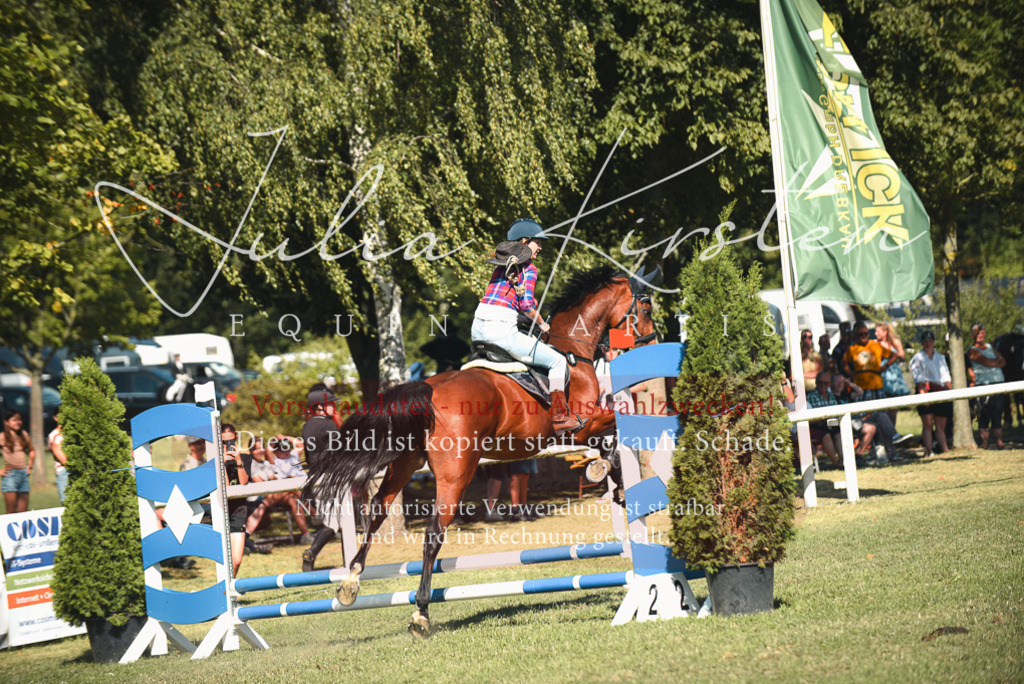 DSC_7733 | Pferde- und Turnierfotografie in Westsachsen. Pferdeportraits, Auftragszeichnungen und intuitive Kunst.