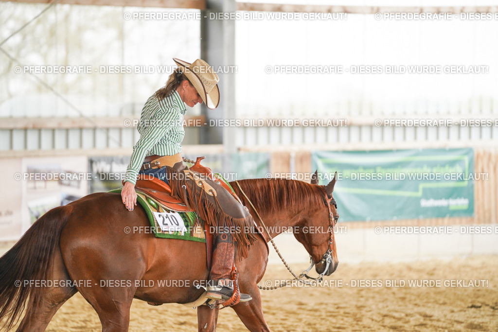 DSC05066 | Pferdegrafie