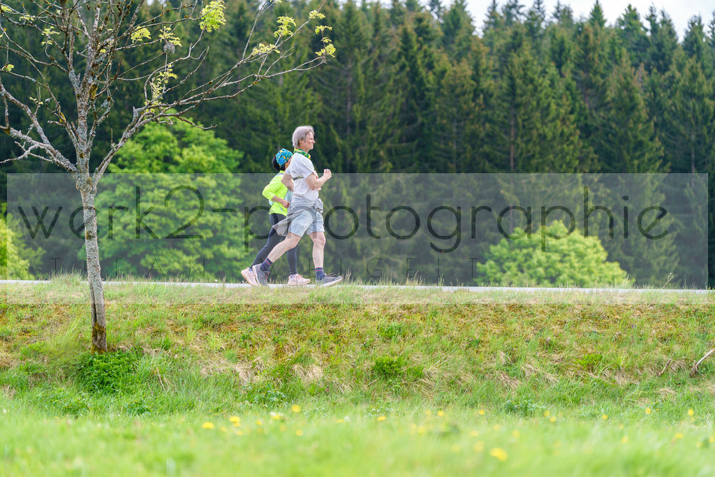 Rennsteiglauf Marathon 2025 | Marathon von Neuhaus/Rwg. nach Schmiedefeld/Rstg. am 17. Mai 2025