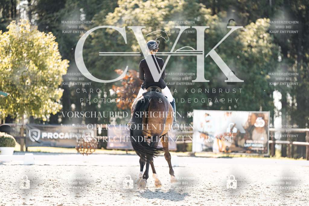 CK905905 | Turnierfotografie Pferdefotografie Trier Rheinland-Pfalz Pferdesport Reitsport Tierfotografie Sportfotografie Pferdevideo Pferdevideografie Equestrianvideography equestrianphotography  - Realisiert mit Pictrs.com