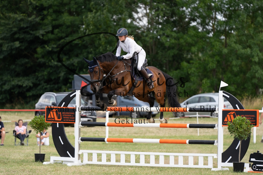 A7V02848 | Pferdefotograf