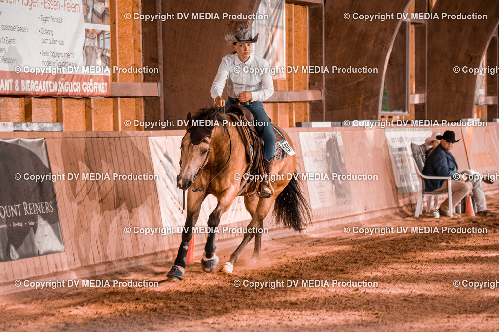 NE201219 | dv-media-shop - Realisiert mit Pictrs.com