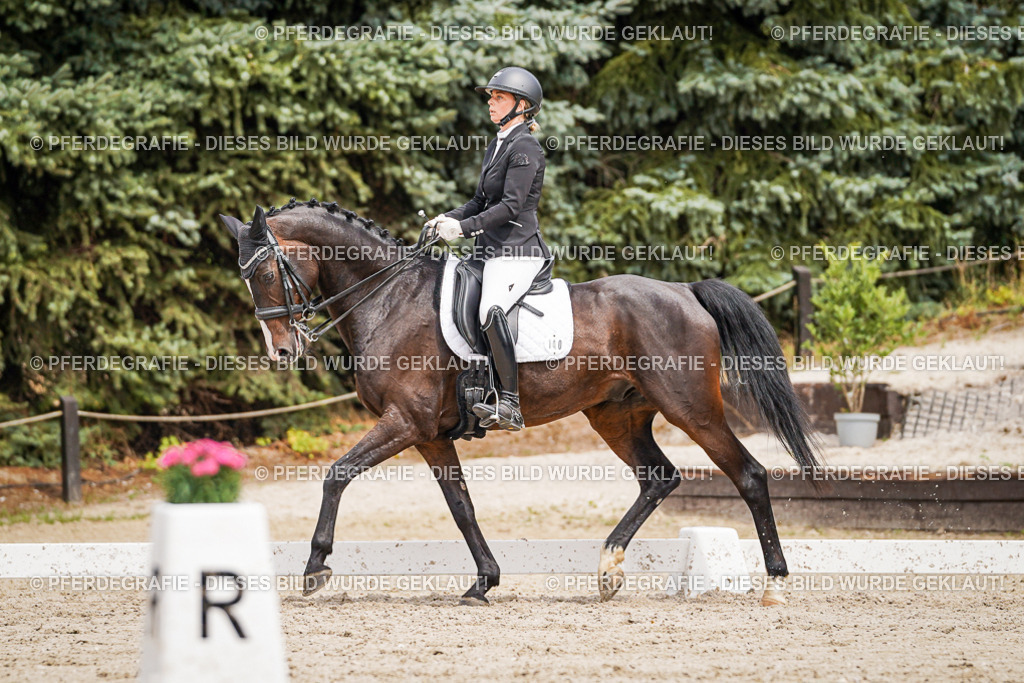 DSC05729 | Pferdegrafie