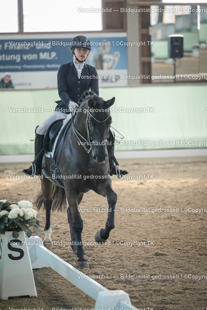 _D5A4144 | Emotionale Pferde- & People-Fotografie rund um Heidelberg, Leimen & Umgebung. Natürliche Fotos von Pferd, Mensch & Familie. Jetzt Termin sichern!