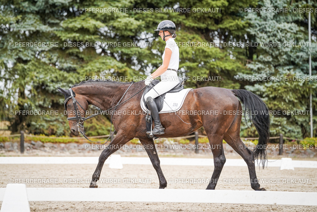 DSC06682 | Pferdegrafie