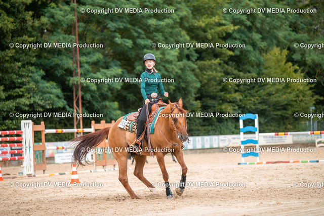 ZS2_8495 | dv-media-shop - Realisiert mit Pictrs.com