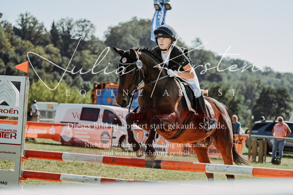 DSC_6661 | Pferde- und Turnierfotografie in Westsachsen. Pferdeportraits, Auftragszeichnungen und intuitive Kunst.