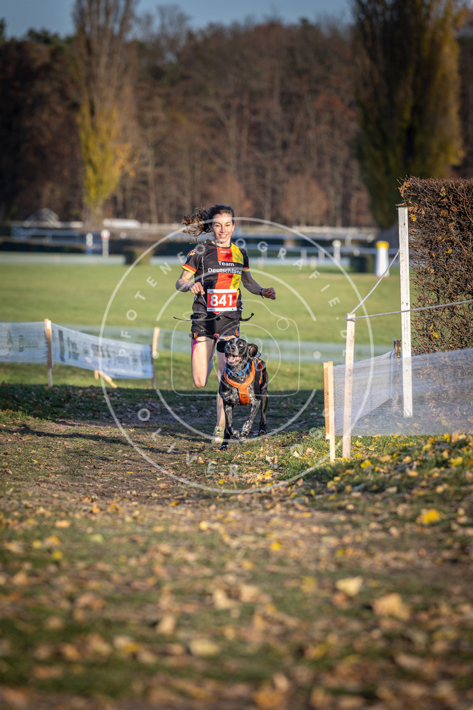 CaniXpix_DV3A3646 | Hundefotografie, Tierfotograf, Pfotenfotografie, Fotoshooting Hund, Hunde Portrait, Hundesport, Hundeportraits, Heideshooting, Hunde, Sportfotograf, Hundefotograf, Turnierhundsport, THS,  - Realisiert mit Pictrs.com