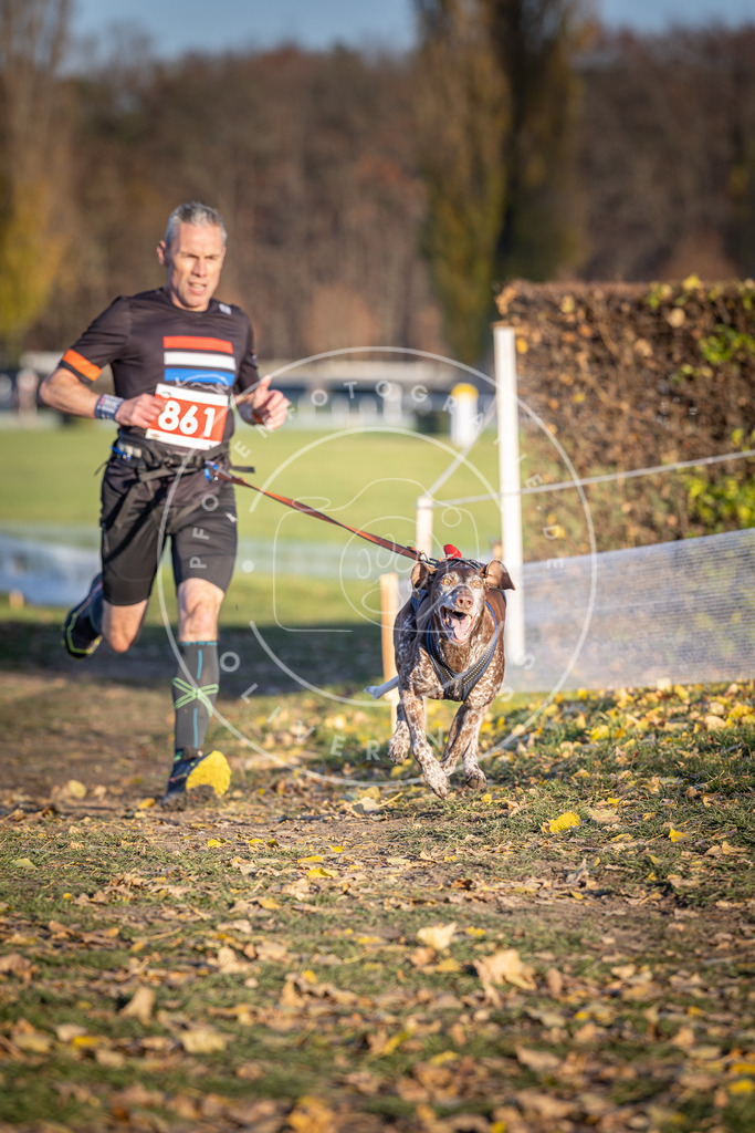 CaniXpix_DV3A4055 | Hundefotografie, Tierfotograf, Pfotenfotografie, Fotoshooting Hund, Hunde Portrait, Hundesport, Hundeportraits, Heideshooting, Hunde, Sportfotograf, Hundefotograf, Turnierhundsport, THS,  - Realisiert mit Pictrs.com