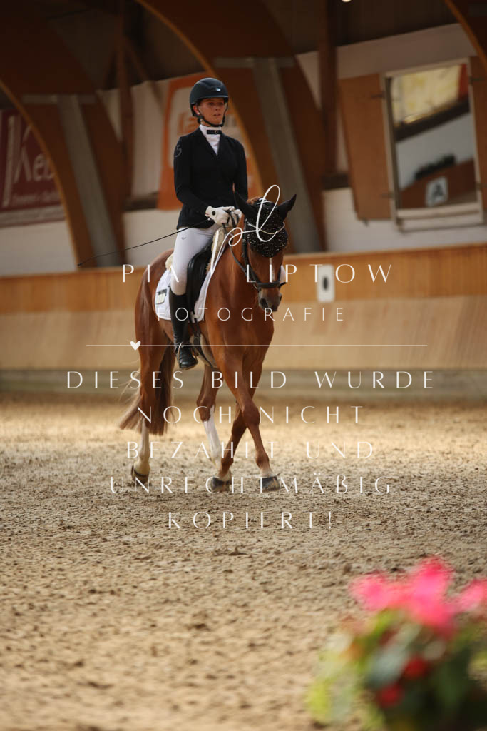 IMGS2402 | pl-fotografie