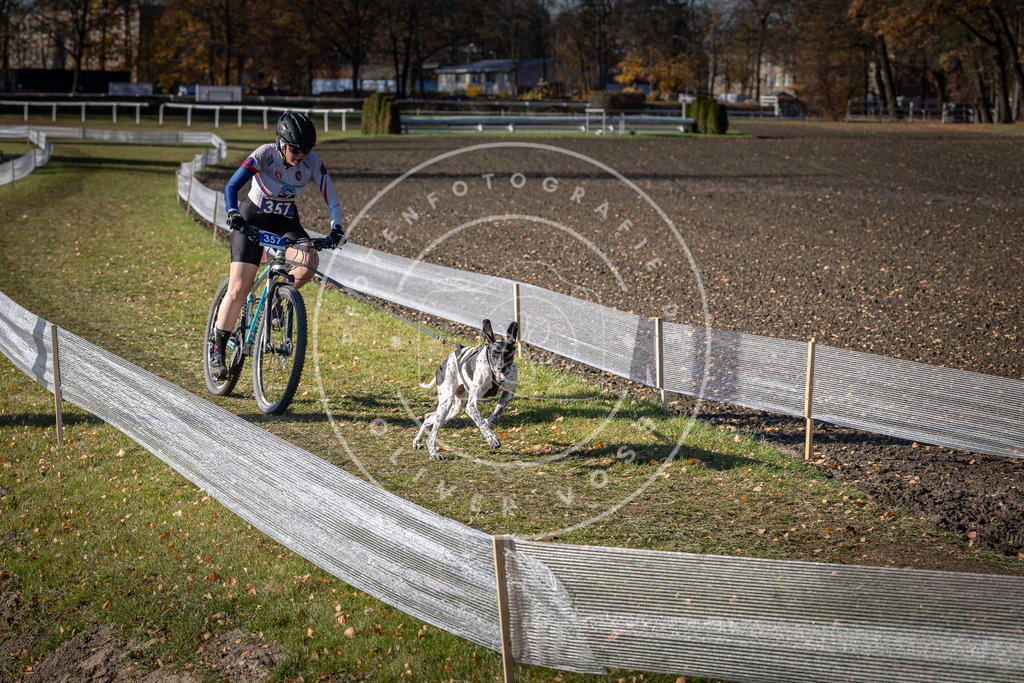 CaniXpix_DV3A7298 | Hundefotografie, Tierfotograf, Pfotenfotografie, Fotoshooting Hund, Hunde Portrait, Hundesport, Hundeportraits, Heideshooting, Hunde, Sportfotograf, Hundefotograf, Turnierhundsport, THS,  - Realisiert mit Pictrs.com